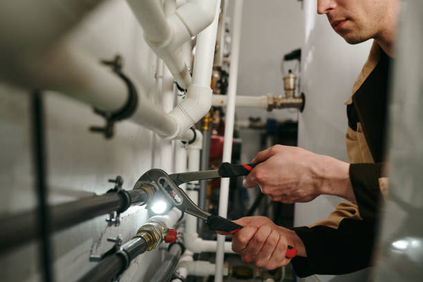 Best Emergency Plumbing Repair  in Swanton, OH