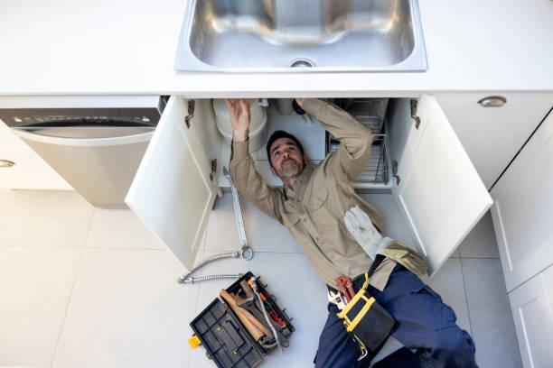 Best Toilet Repair Services  in Swanton, OH