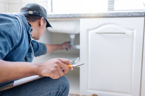 Best Clogged Drain Plumber  in Swanton, OH