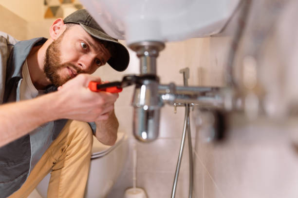 Best Plumbing Services Near Me  in Swanton, OH
