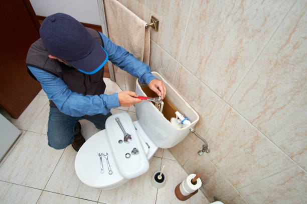 Best Commercial Plumbing Services  in Swanton, OH