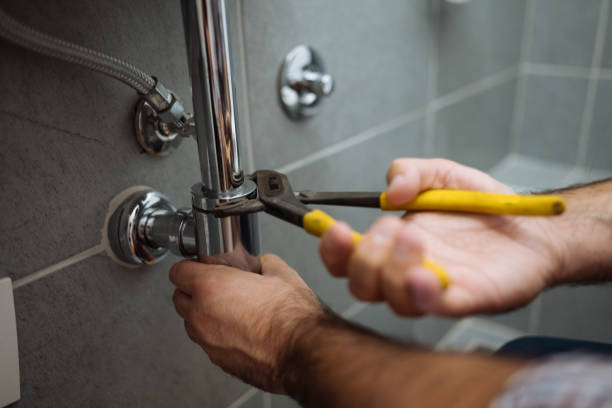 Best Leak Detection Services  in Swanton, OH