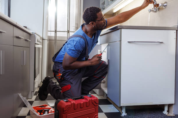 Best Same-Day Plumbing Service  in Swanton, OH