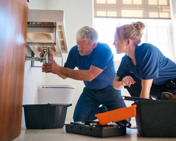 Best Faucet Repair  in Swanton, OH