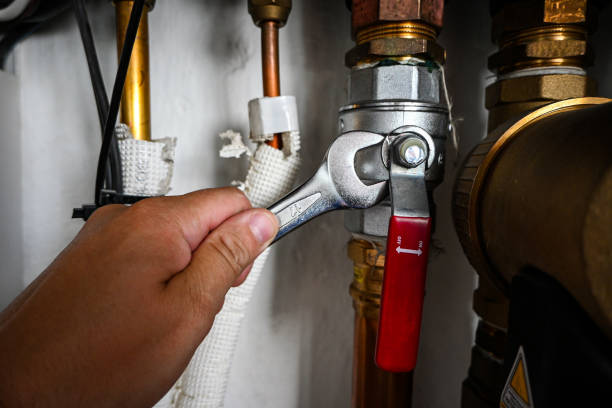 Best Sewer Line Repair  in Swanton, OH
